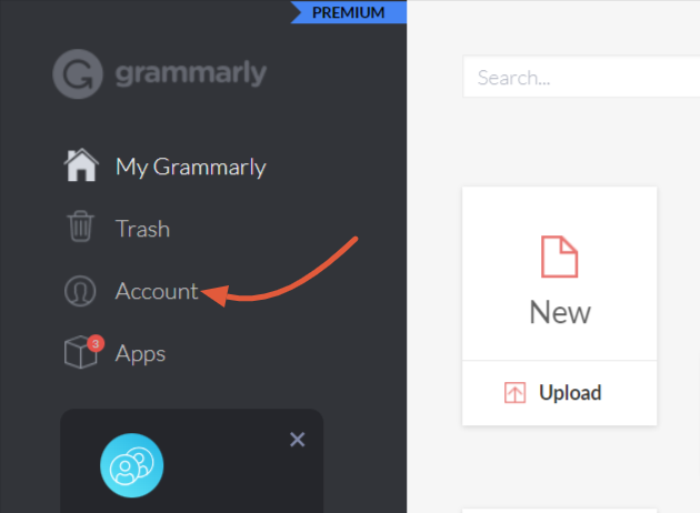 Grammarly Account Settings